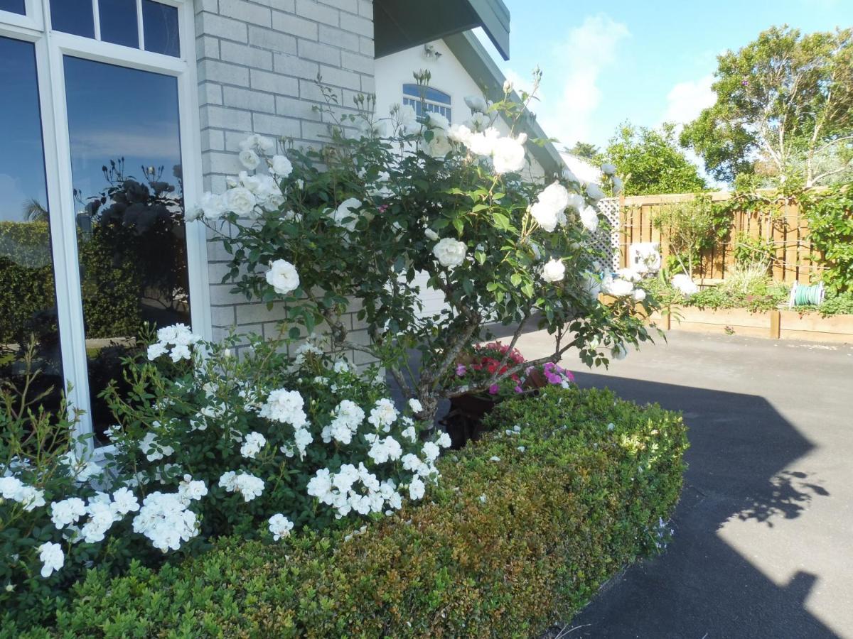 Hideaway Off Heta Leilighet New Plymouth Eksteriør bilde